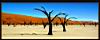 L Brohard - Namibian Scarecrows_bg.jpg